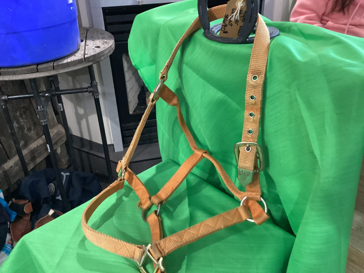 Halter – Nylon, Faded Orange | Used