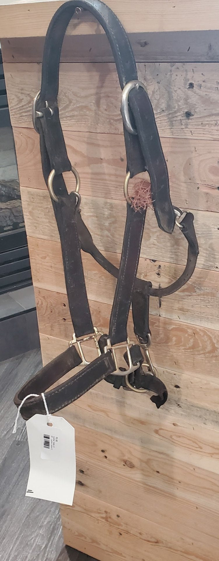 Halter – Leather (B, Broken Clasp) | Used