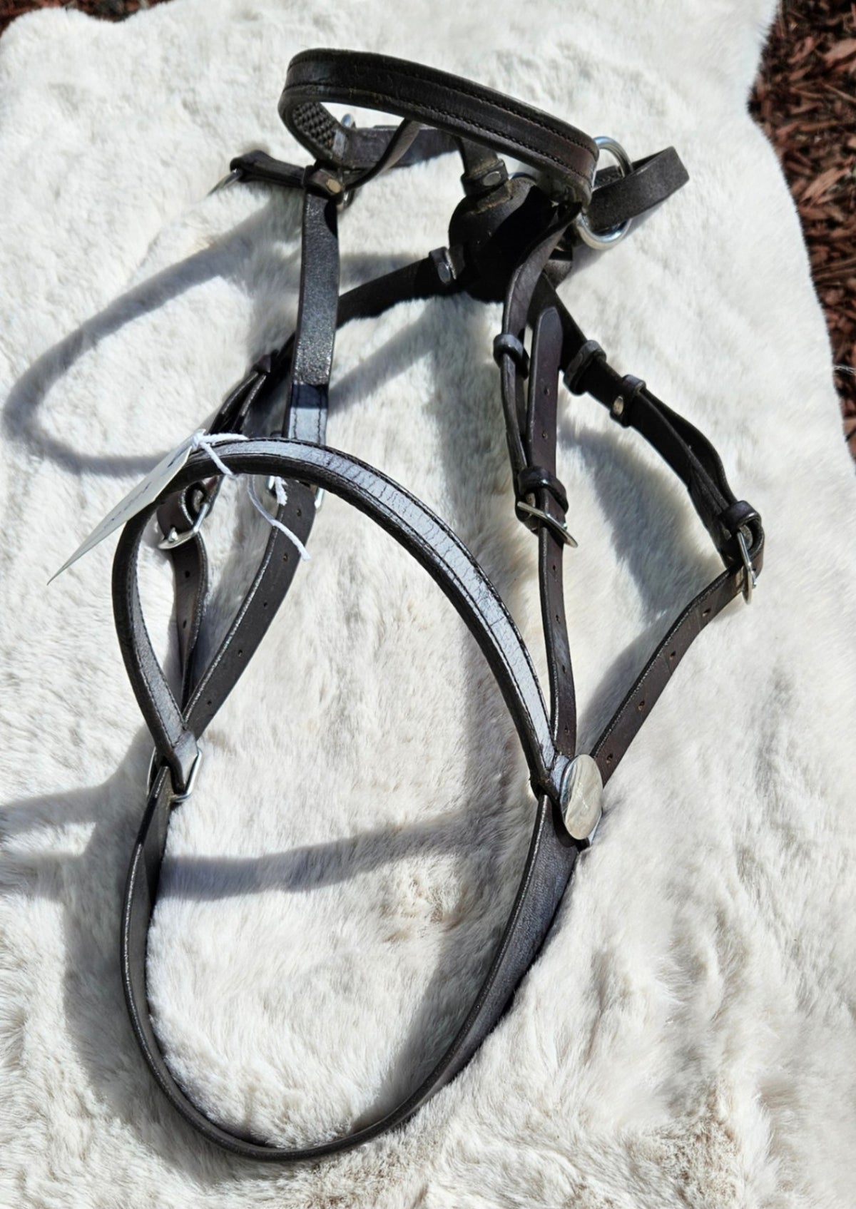 English Bridle – Natural Horse Bitless, Brown | Used