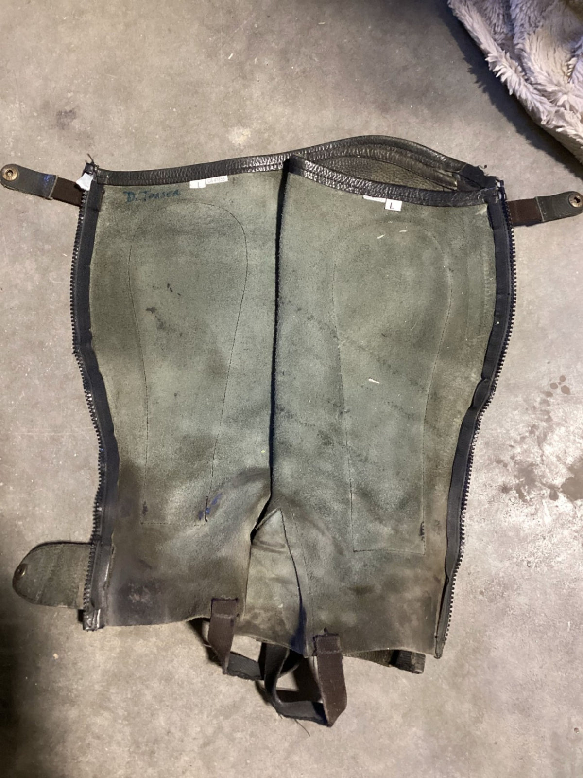 English 1/2 Chaps – Large | Used