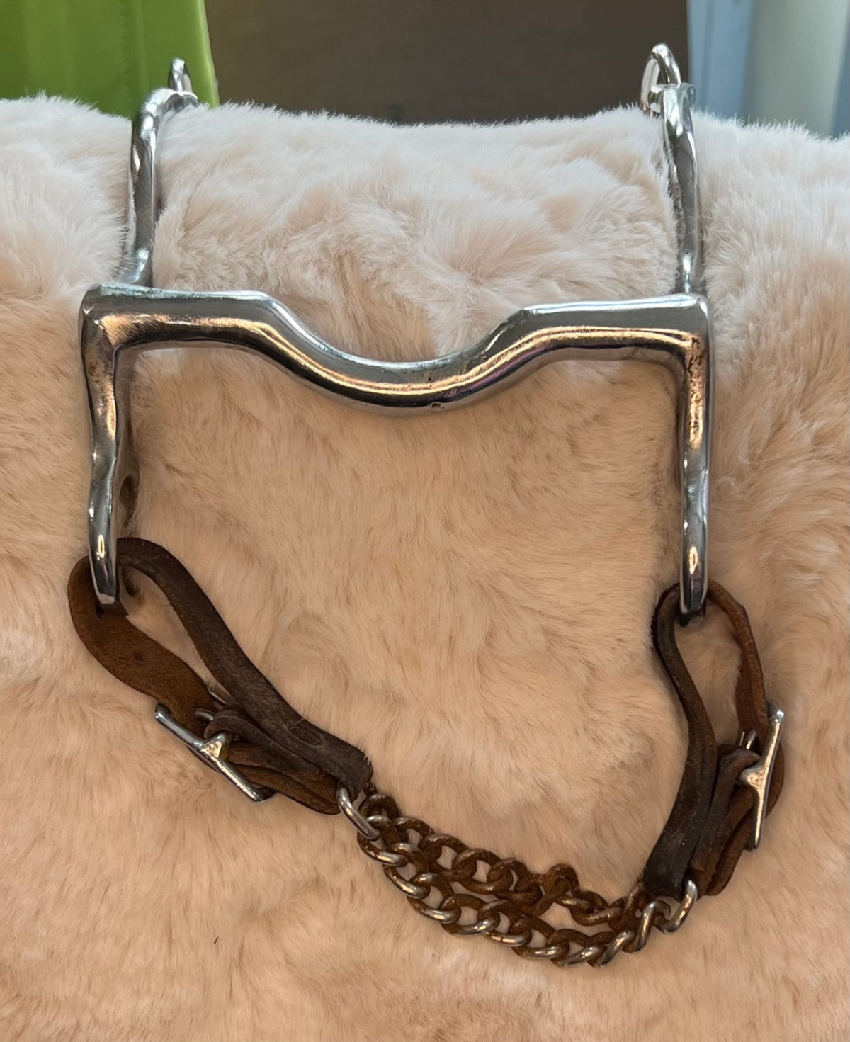 Bit – 5" with Chin Strap (#2) | Used