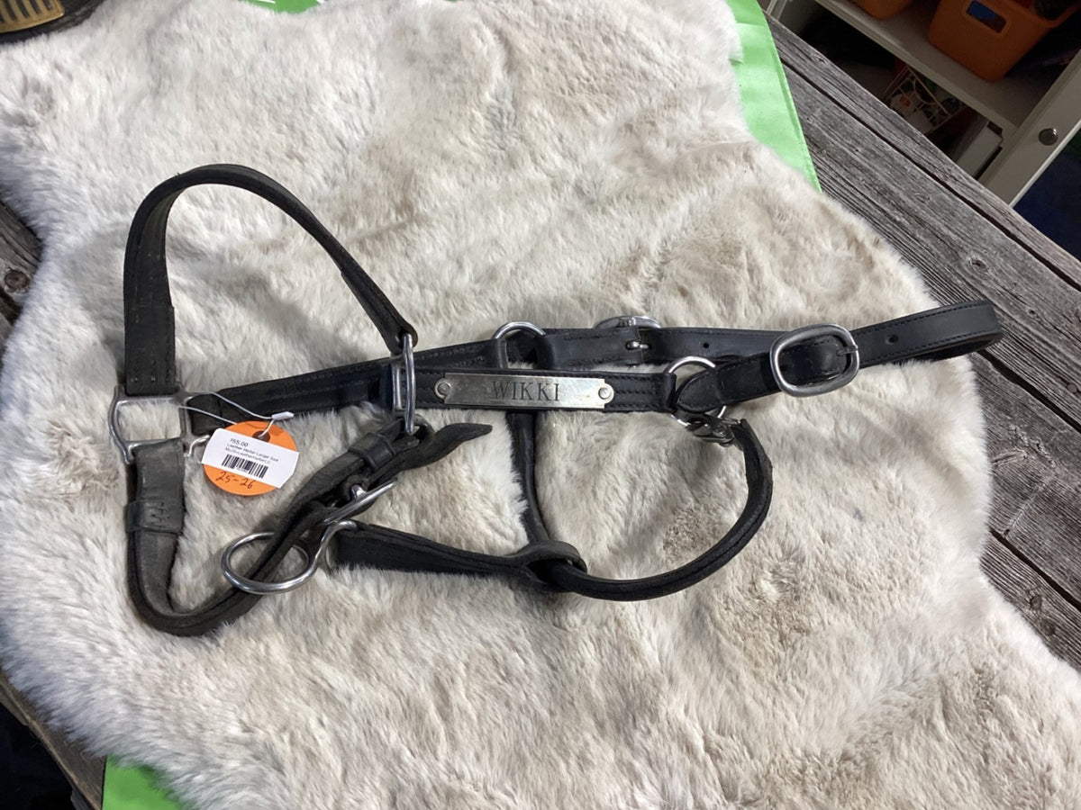 Halter – Leather, Large | Used