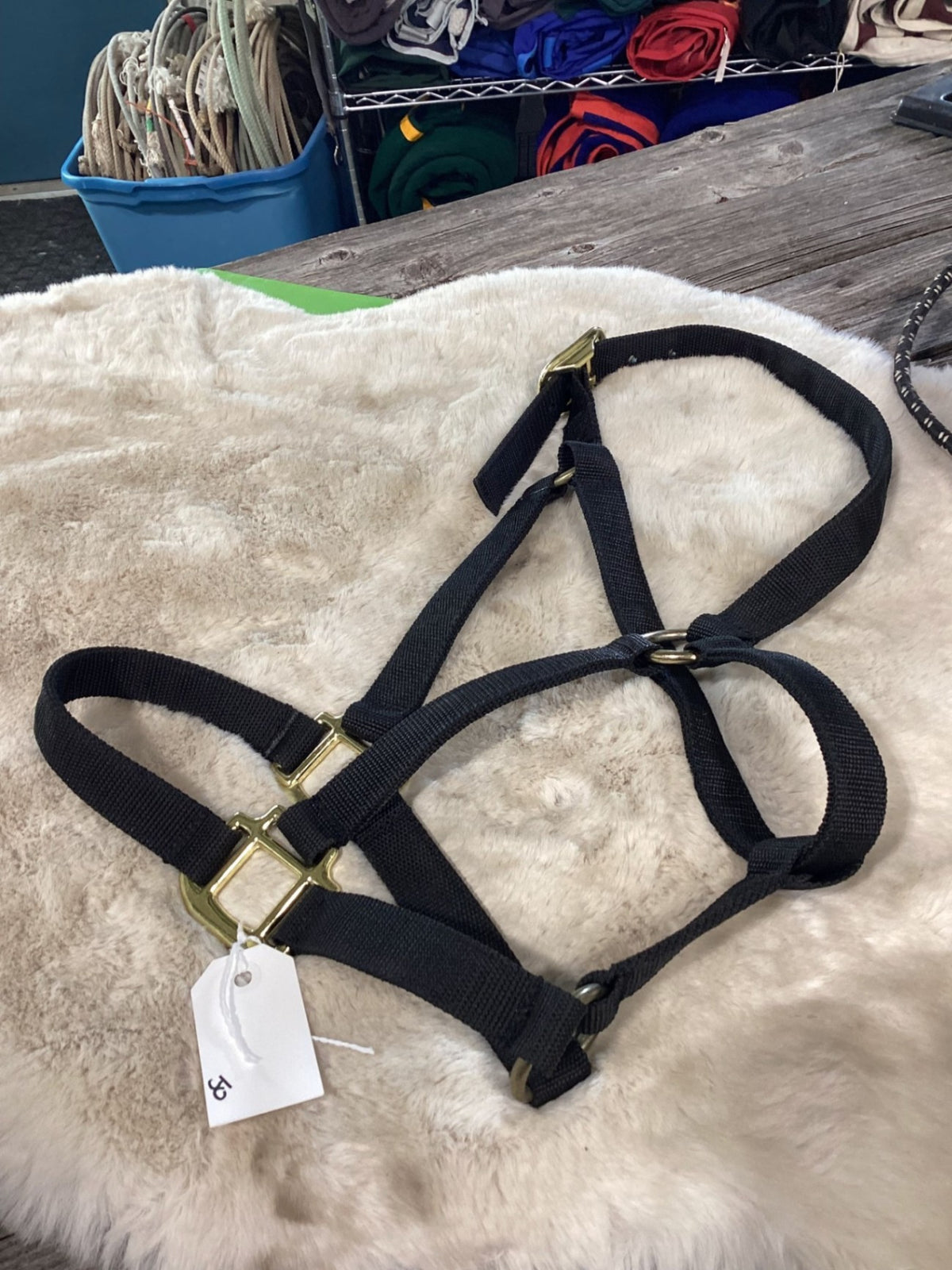 Halter – Nylon, Black (A) | Used