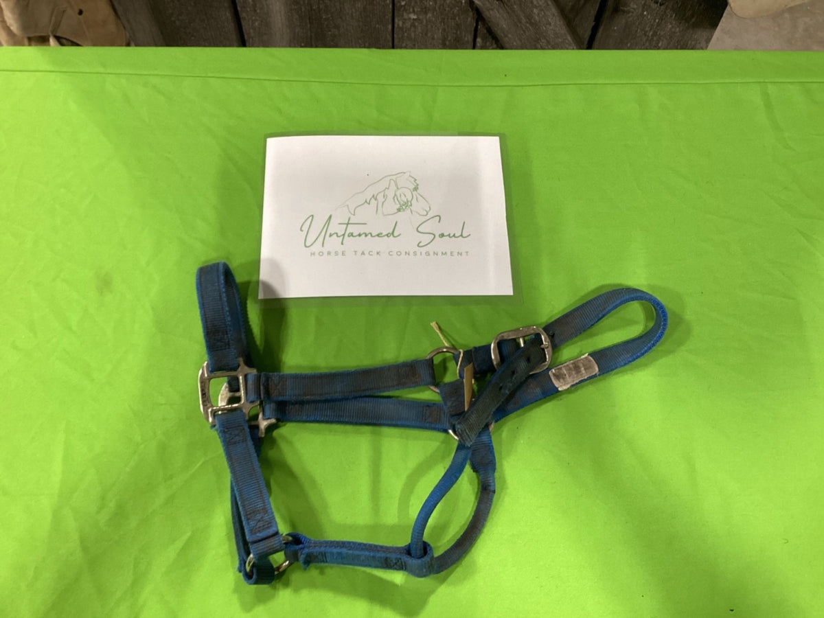 Halter – Nylon, Blue (A) | Used
