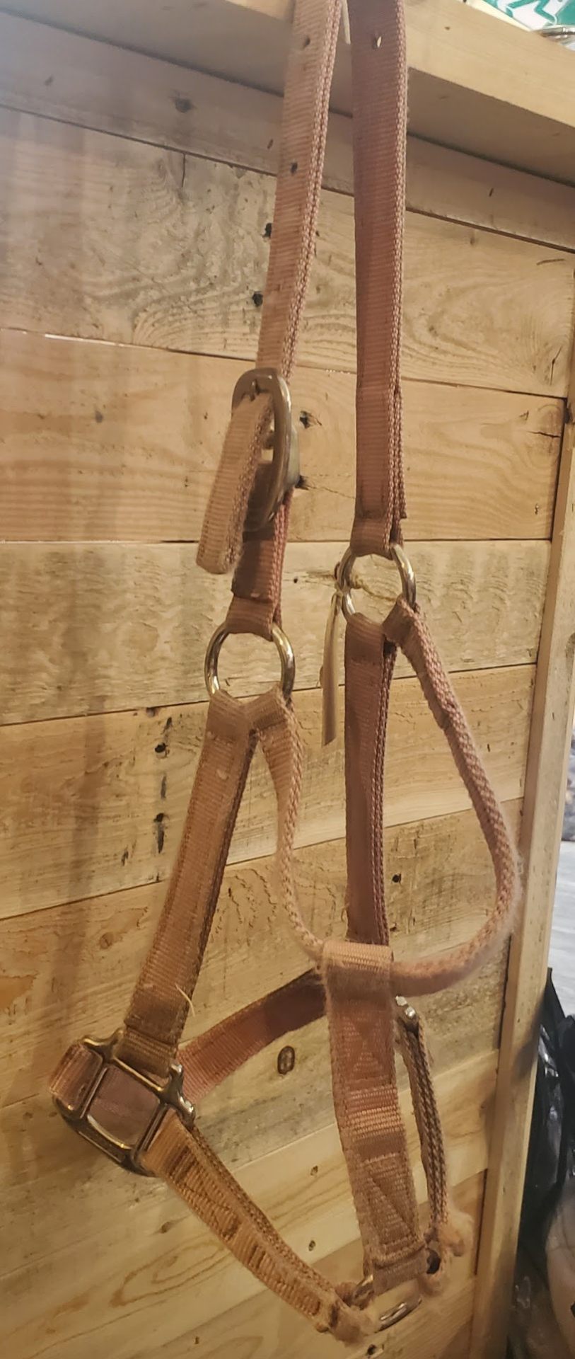 Halter – Nylon, Pink, Small | Used