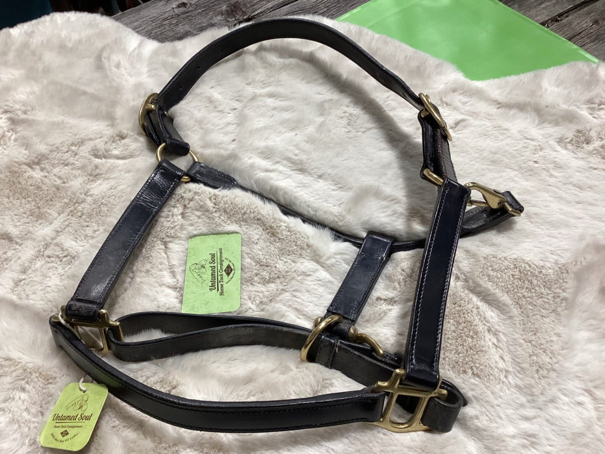 Halter – Leather, Black | Used