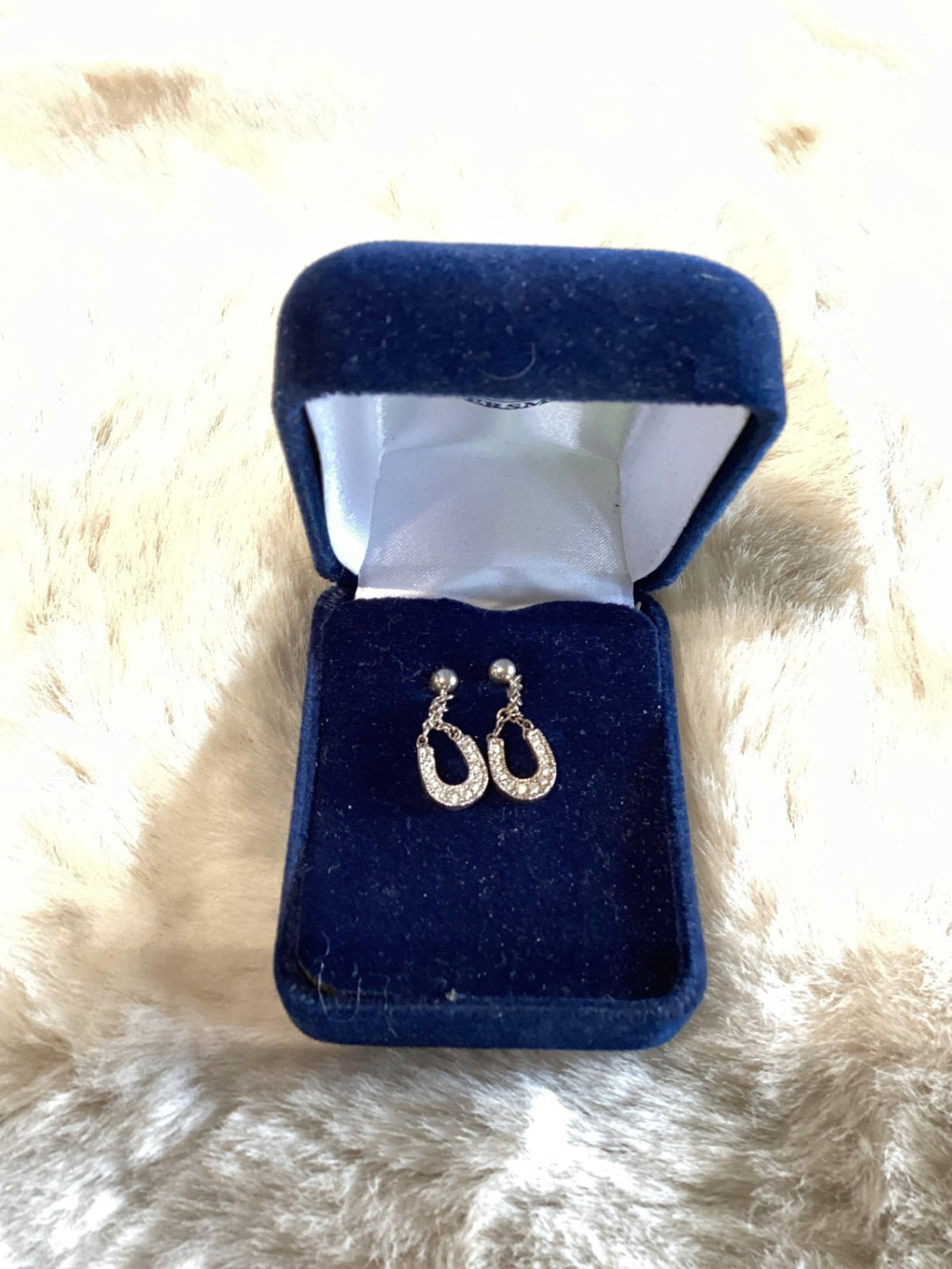Earrings – Montana Silversmiths Horseshoe | Used