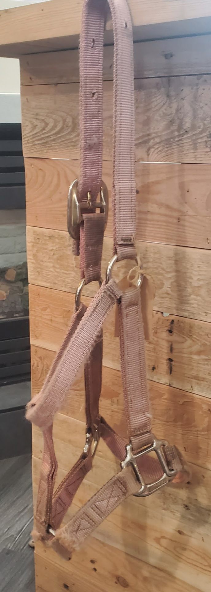 Halter – Nylon, Pink, Small | Used