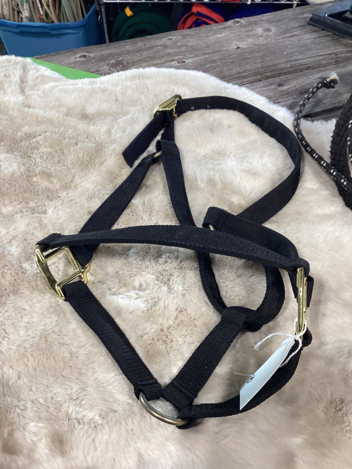 Halter – Nylon, Black (A) | Used