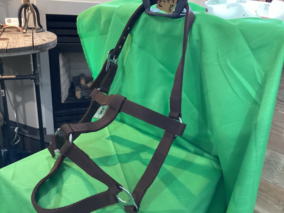 Halter – Nylon, Brown (A) | Used