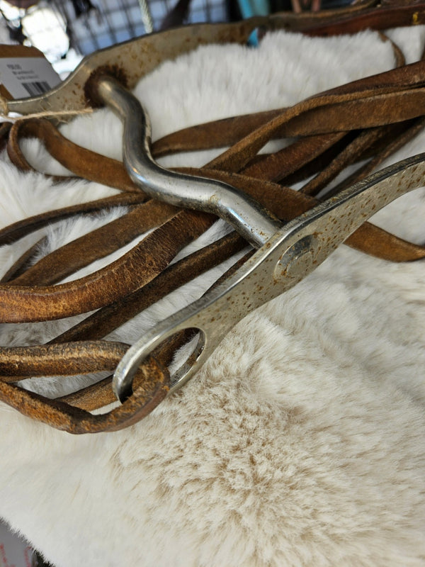 Bit & Reins – 5" Bit with Lightweight Reins (#2) | Used