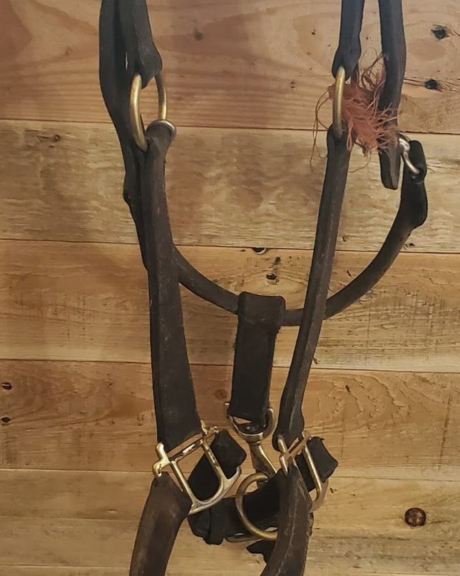 Halter – Leather (B, Broken Clasp) | Used