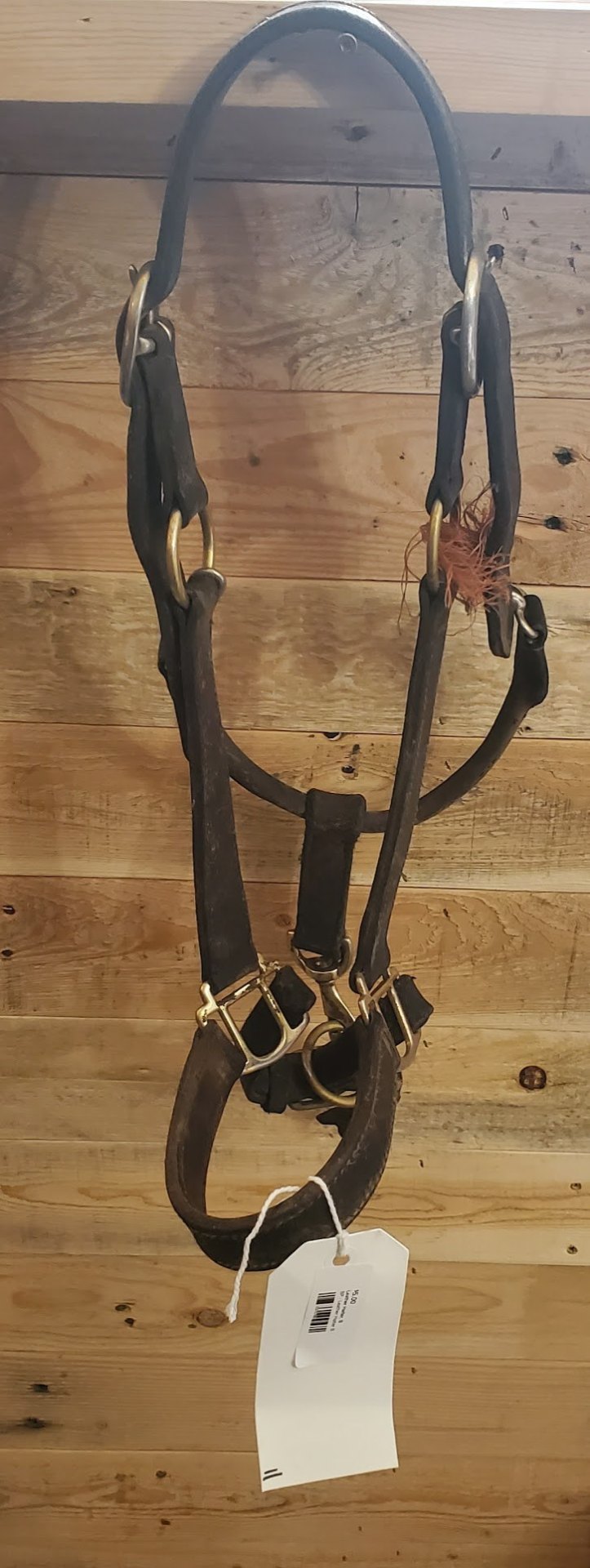 Halter – Leather (B, Broken Clasp) | Used