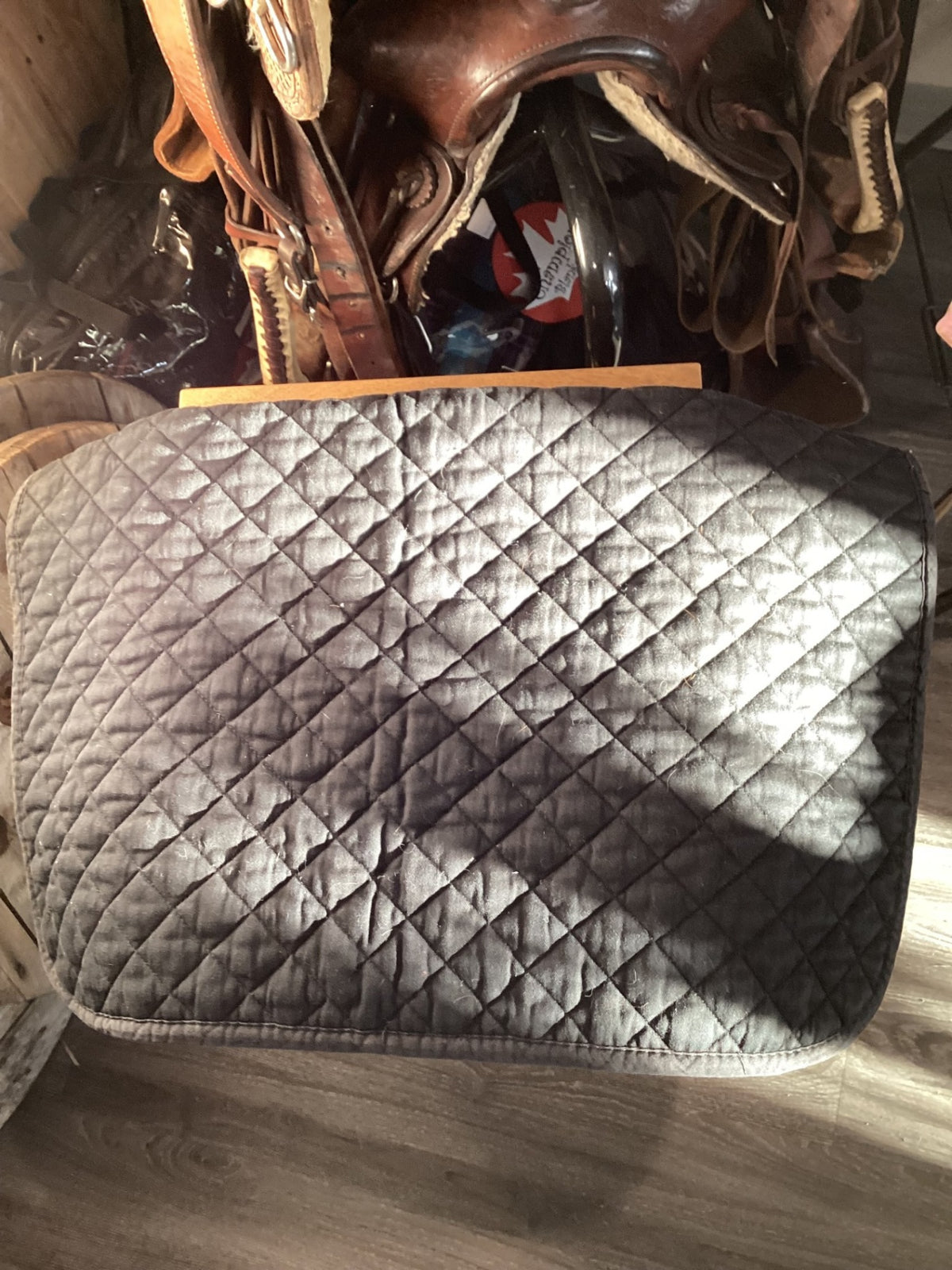 English Saddle Pad – Shedrow, Black, Cotton | Used