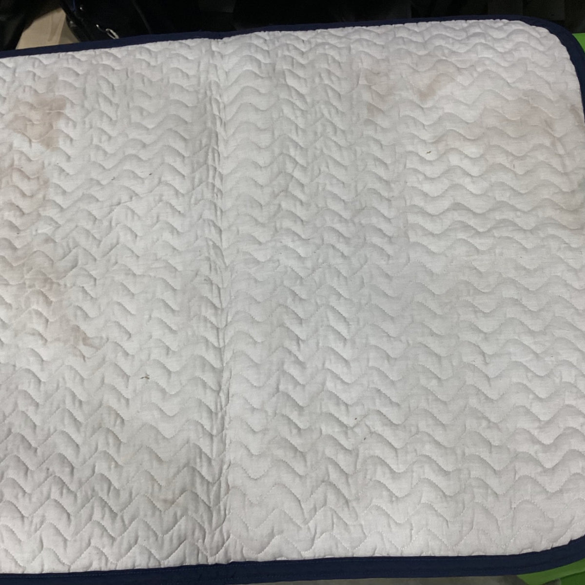 English Saddle Pad – Millers Roma, Quilted White, Green/Blue Trim | Used