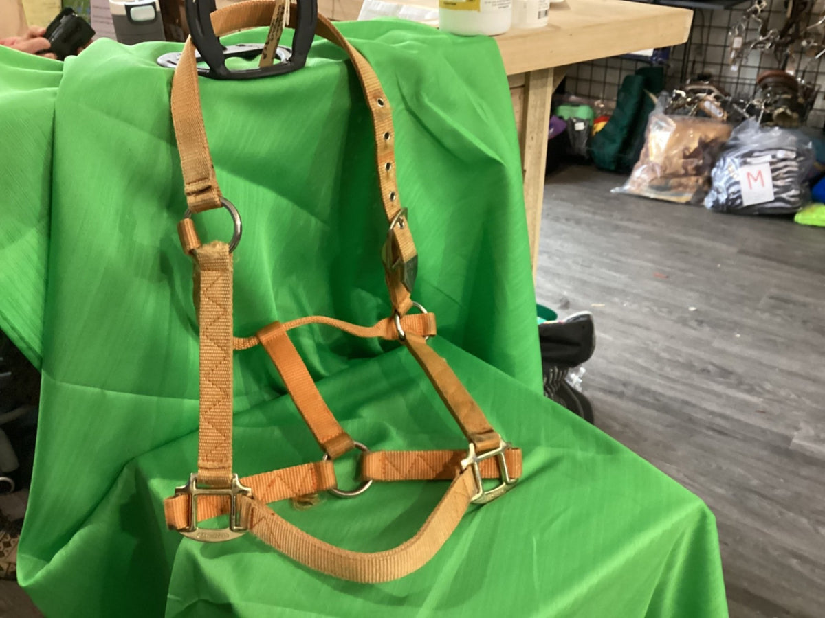 Halter – Nylon, Faded Orange | Used