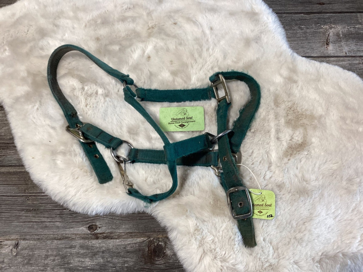 Halter – Nylon, Green, Small (A) | Used