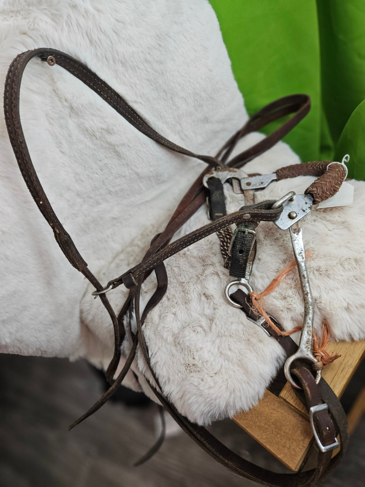 Hackamore – Mechanical with Western Headstall & Reins (Needs Oiling) | Used