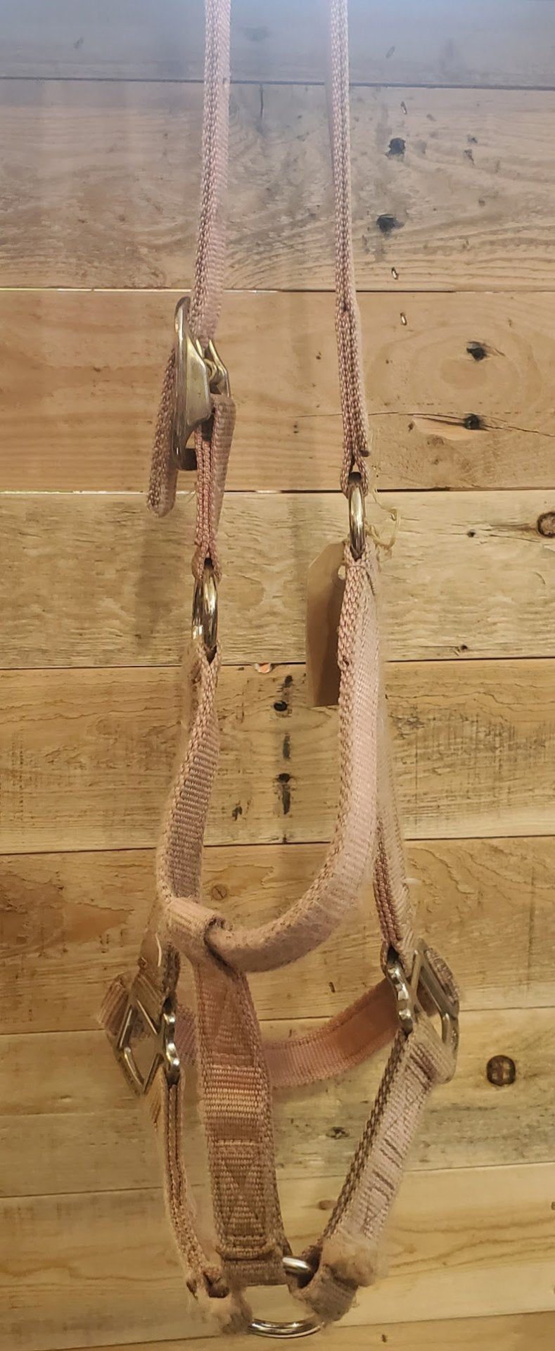 Halter – Nylon, Pink, Small | Used