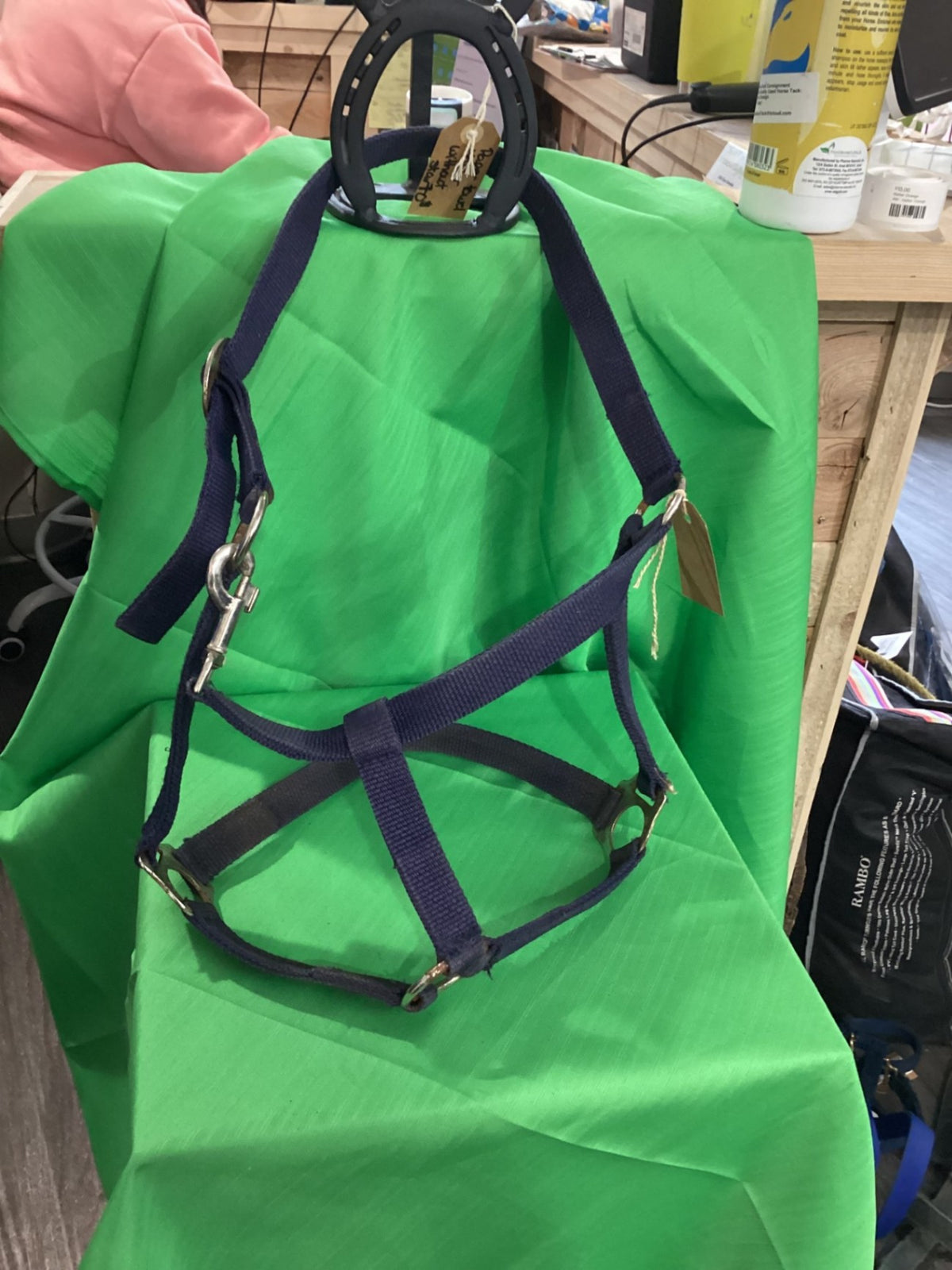 Halter – Nylon, Blue (2 Available) | Used