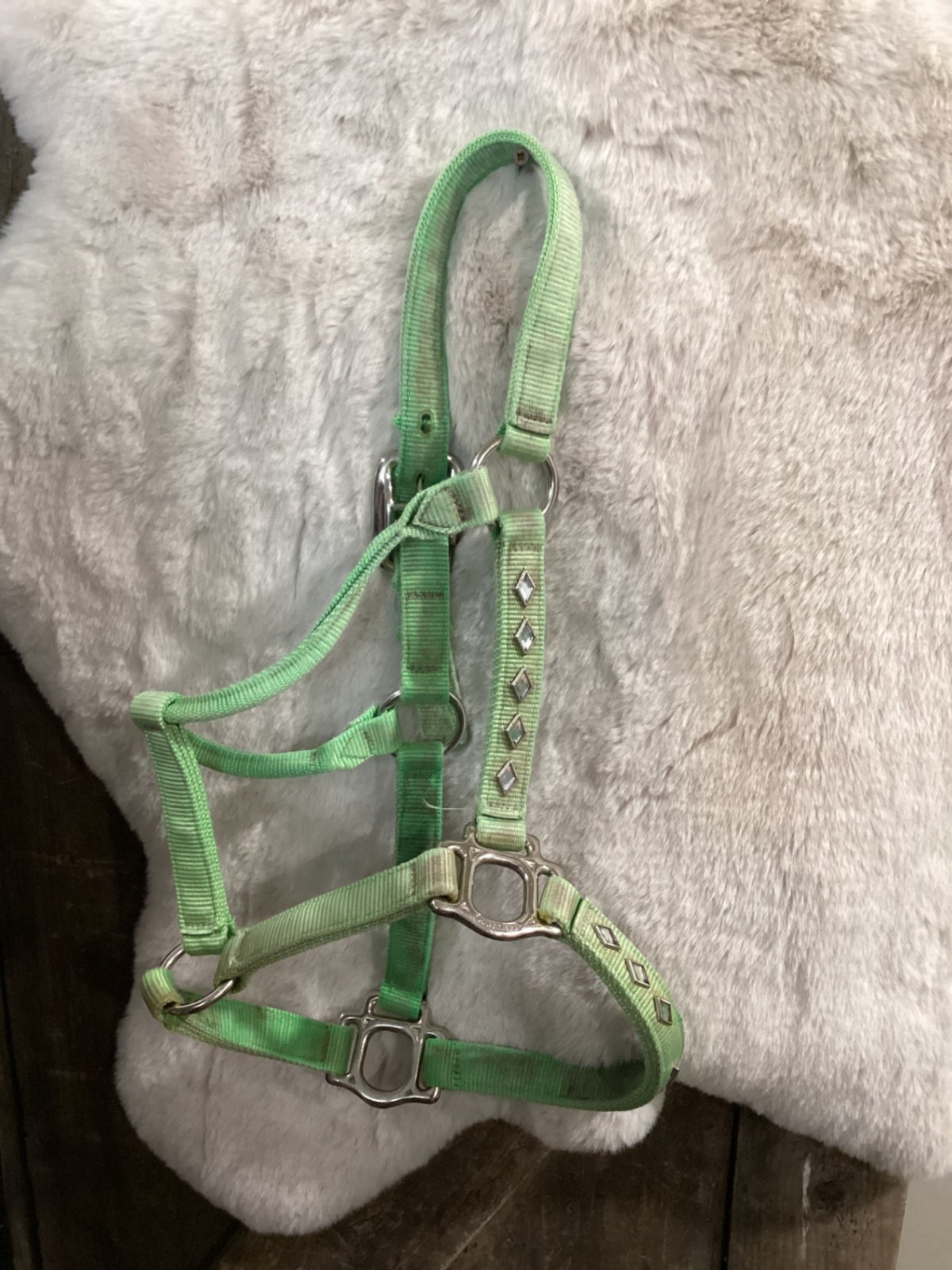 Halter – Nylon, Lime Green, Average | Used
