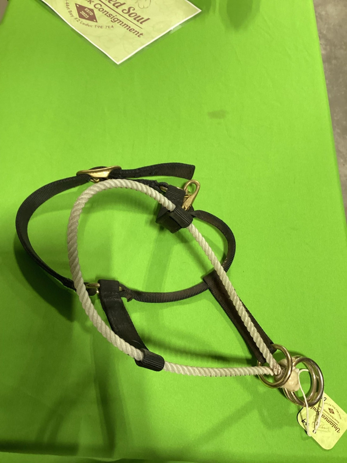 Hackamore – Nylon Halter with Rope, Black | Used