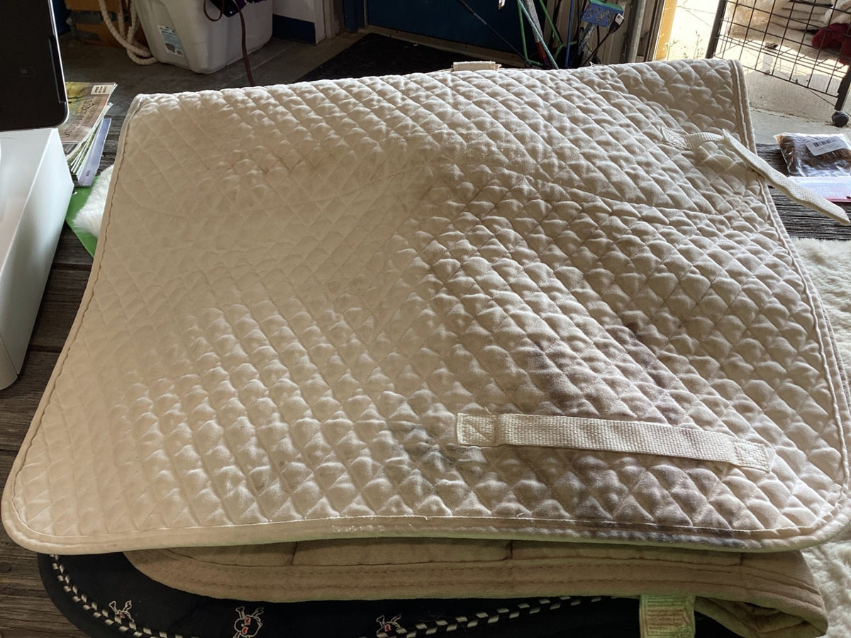 English Saddle Pad – White (C) | Used