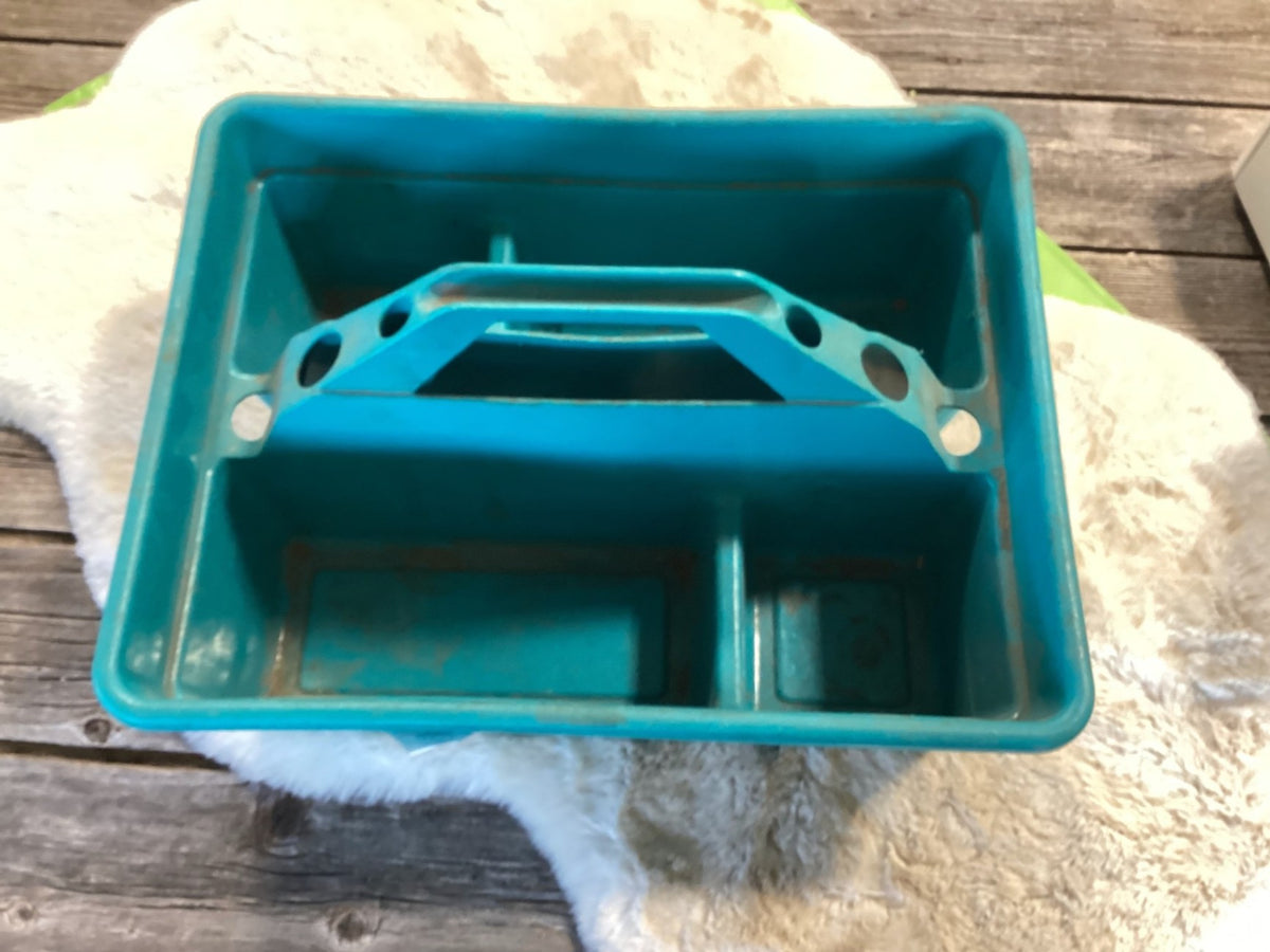 Grooming Tote – Teal | Used