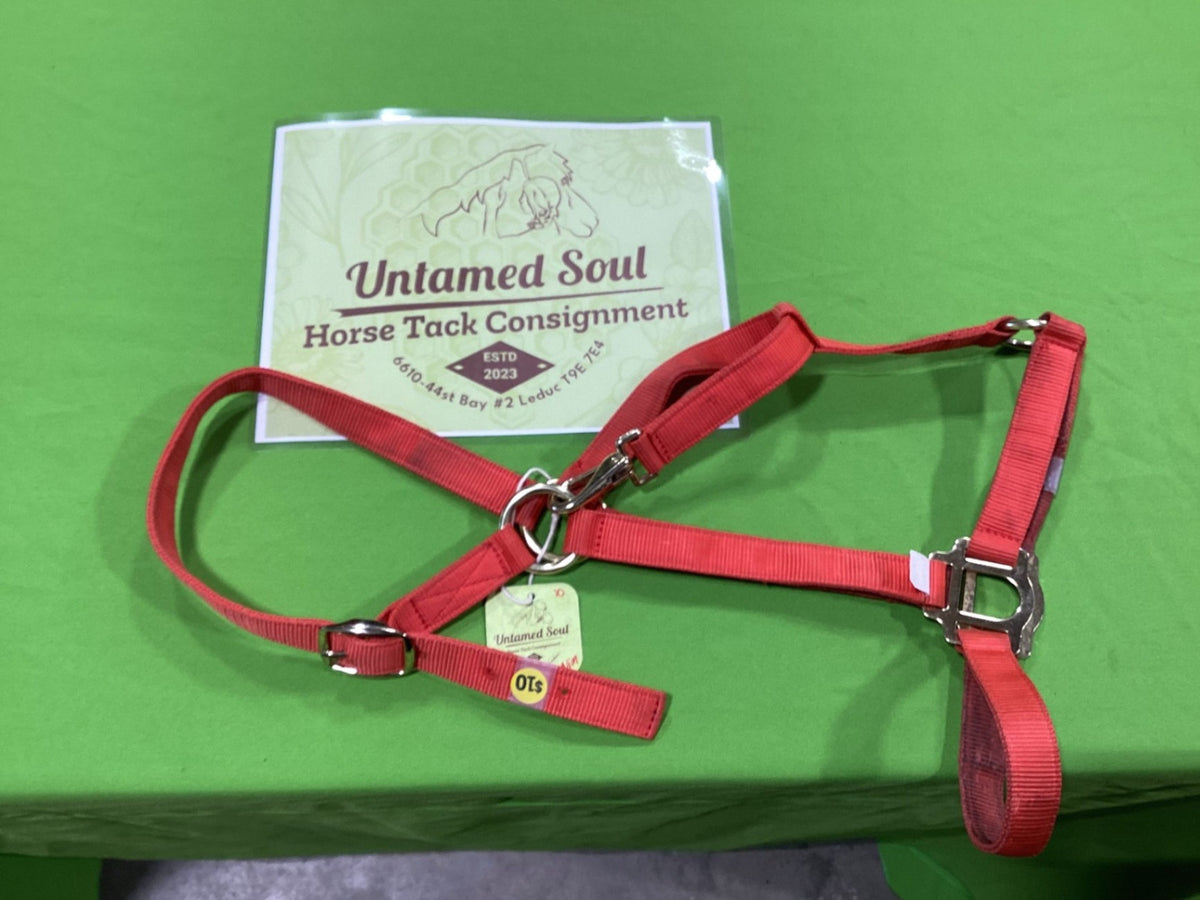 Halter – Nylon, Red (D) | Used
