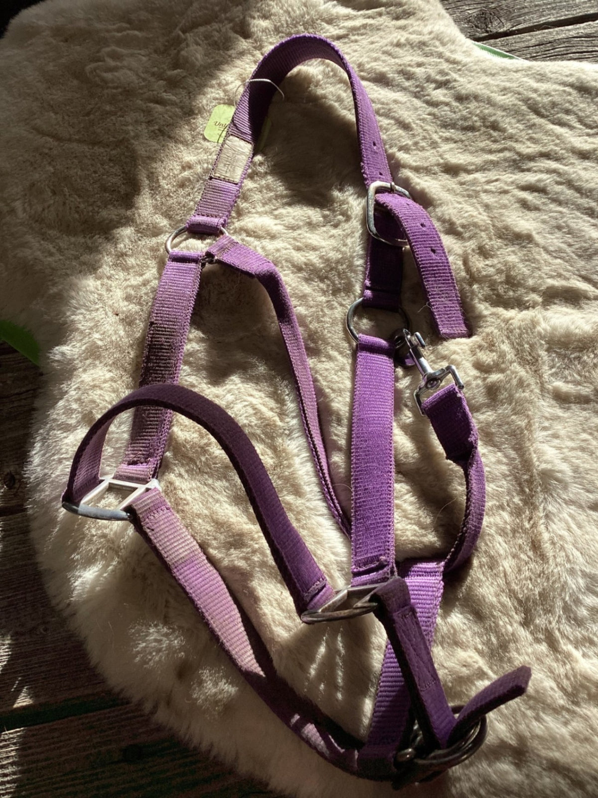 Halter – Nylon, Purple, Average (Est.) | Used