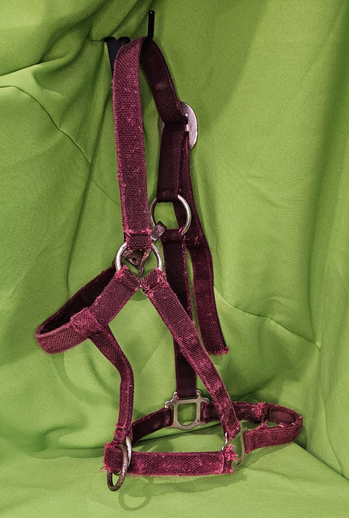 Halter – Nylon, Burgundy (Worn) | Used