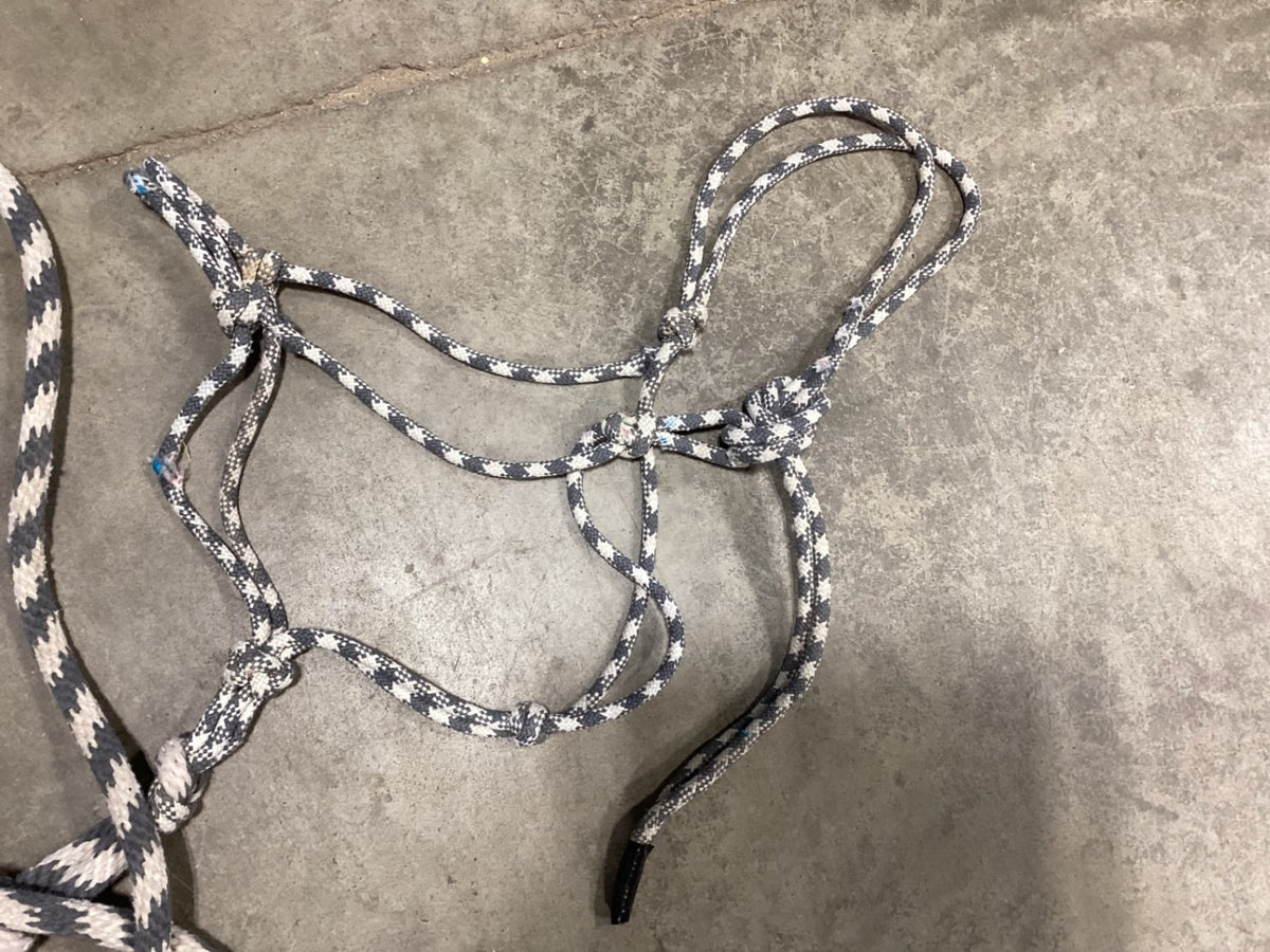 Halter – Rope with Lead, Faded Grey | Used