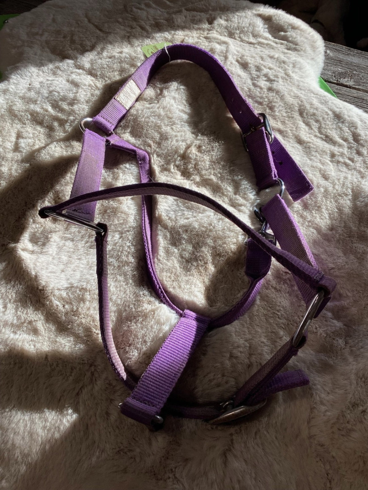 Halter – Nylon, Purple, Average (Est.) | Used