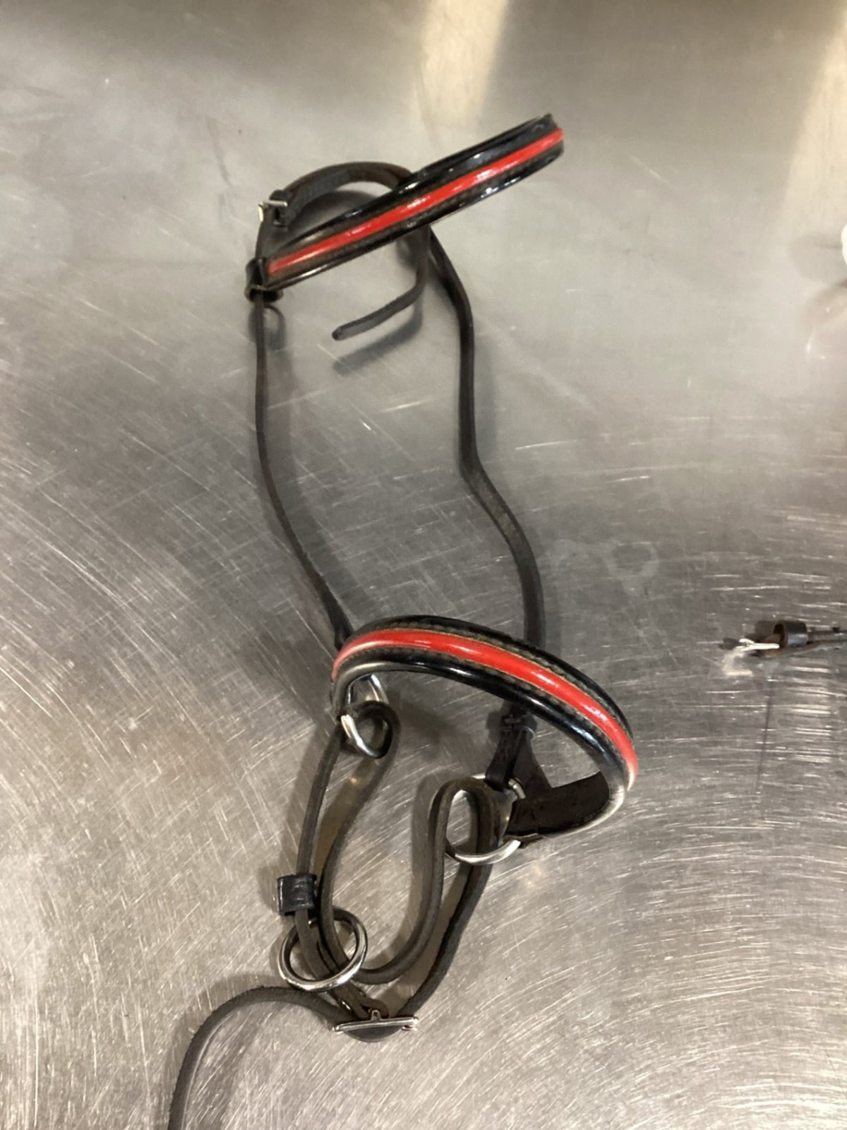 Show Halter – Red (B) | Used