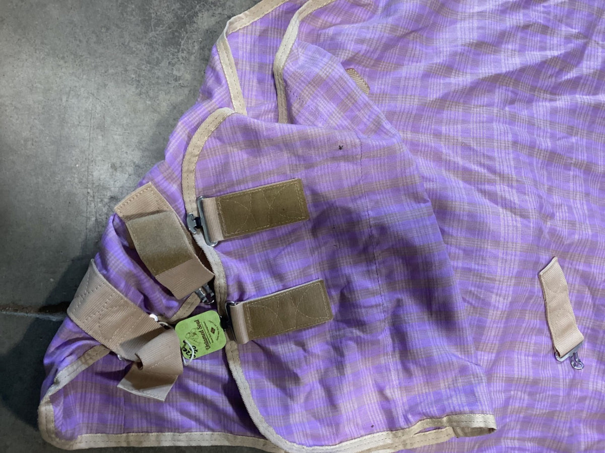 Stable Sheet – Purple Plaid, 78" | Used