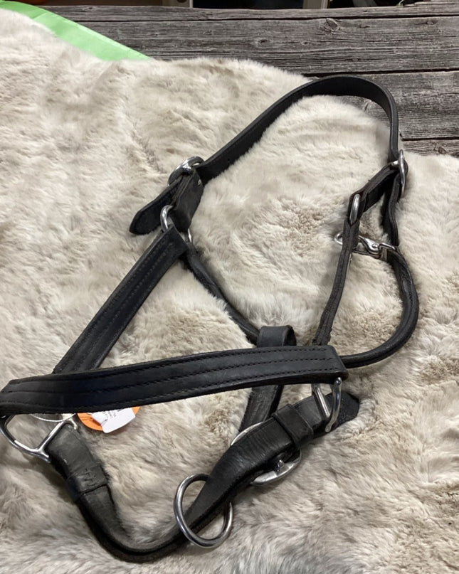 Halter – Leather, Large | Used