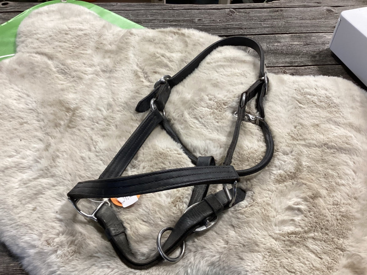 Halter – Leather, Large | Used