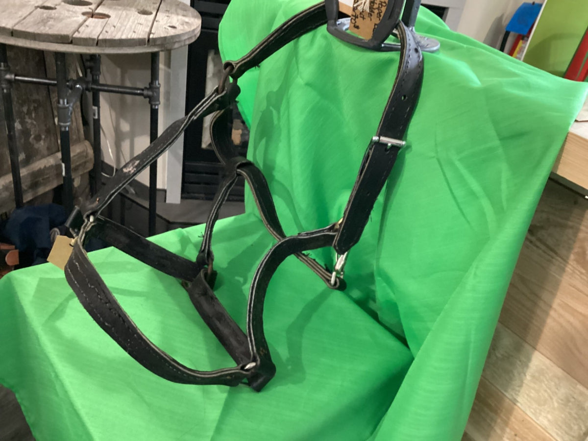 Halter – Leather, Draft | Used