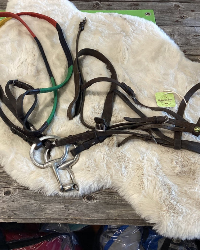 English Bridle – with D-Ring Bit & Training Reins | Used