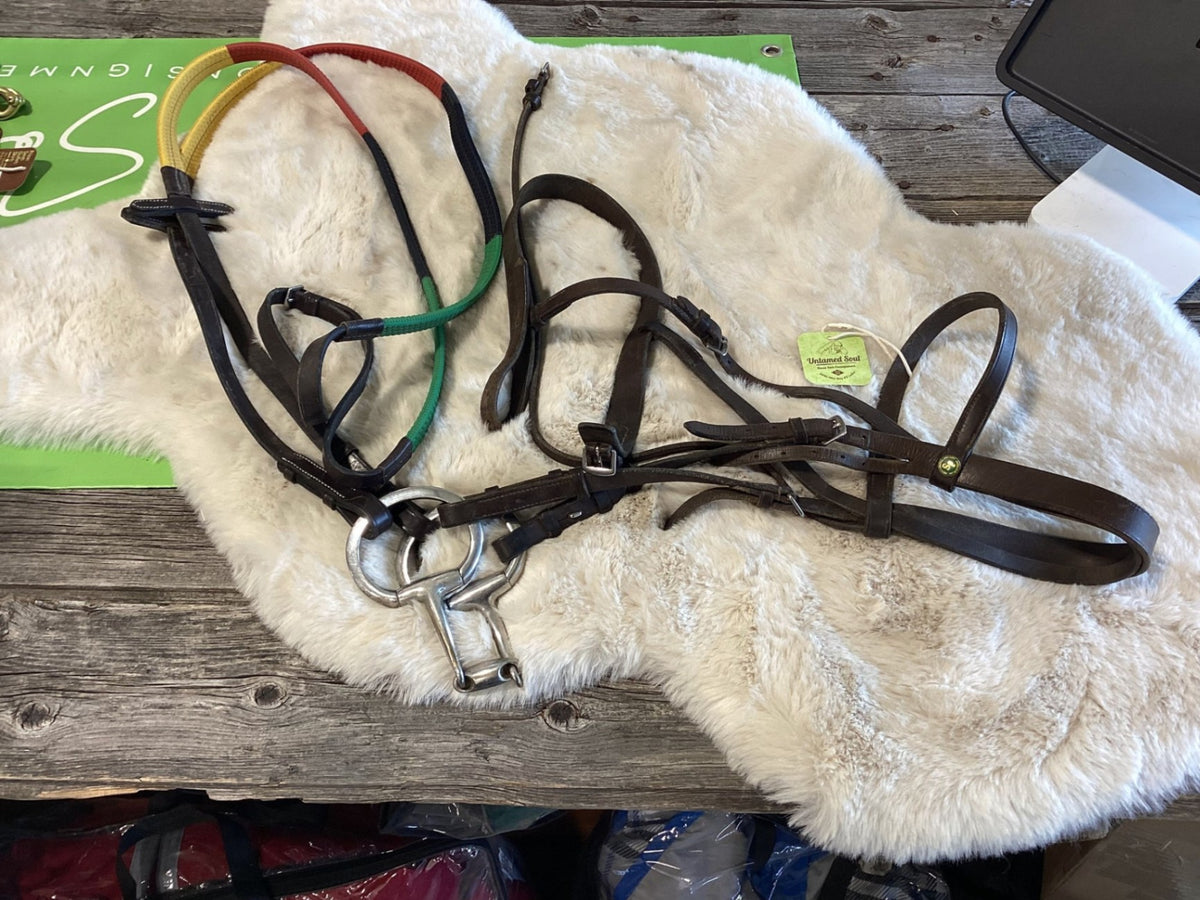 English Bridle – with D-Ring Bit & Training Reins | Used