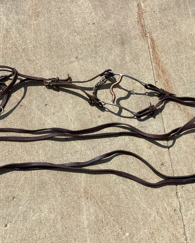 Western Headstall with Bit & Reins – Older Leather | Used