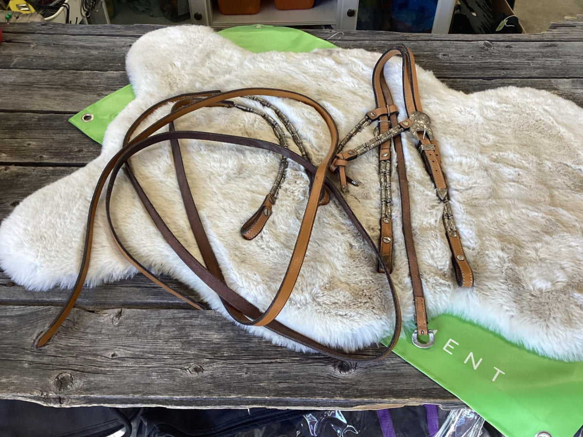 Western Headstall & Reins – Silver-Look Bling | Used