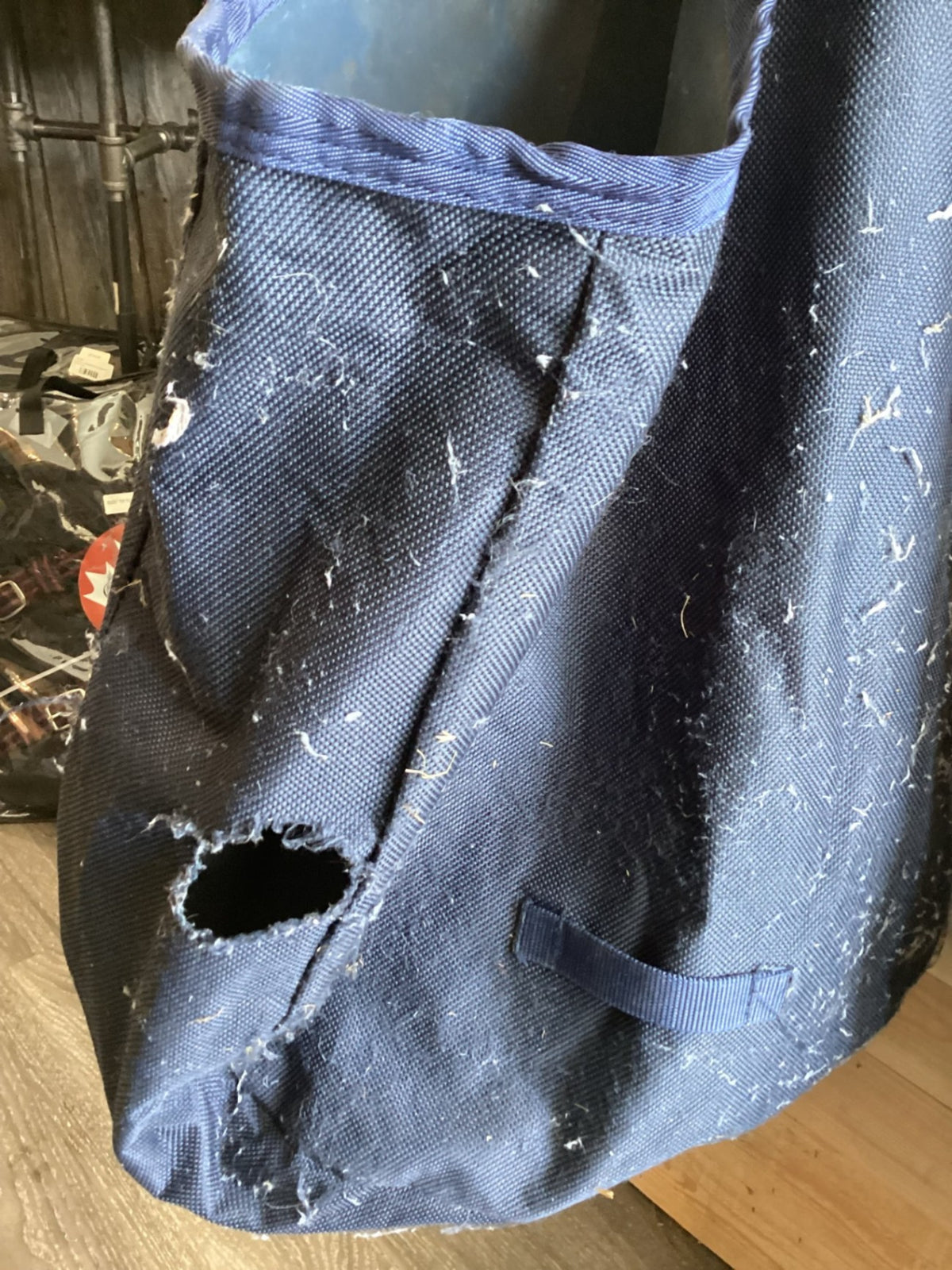 Hay Bag – Canvas, Blue (Has a Hole) | Used