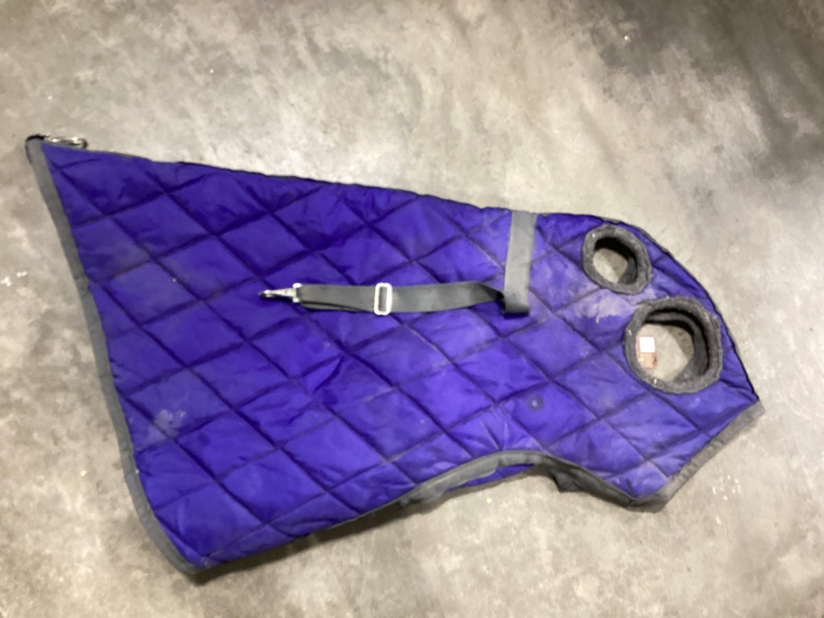 Neck Cover – Winter, Blue, Over Eyes & Ears, Medium (Est.) | Used