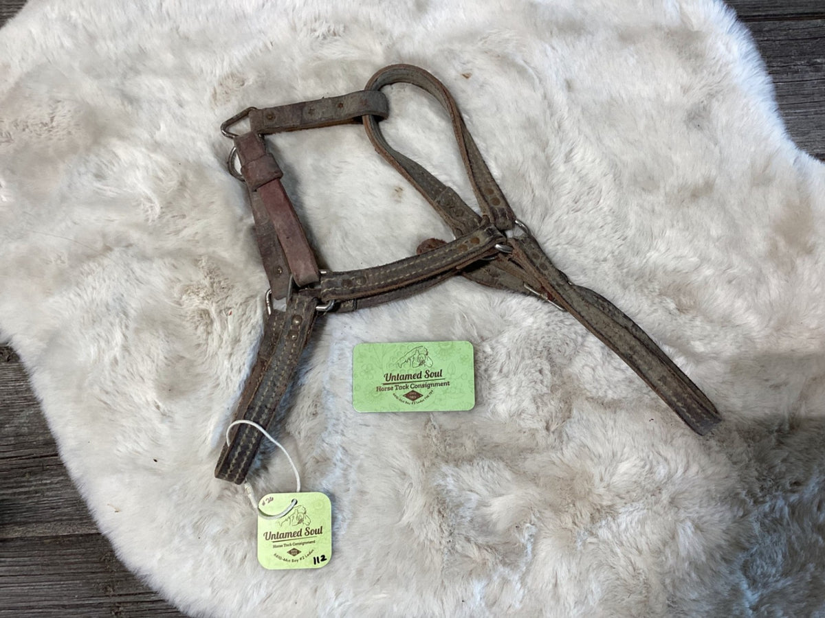 Halter – Leather, Small | Used