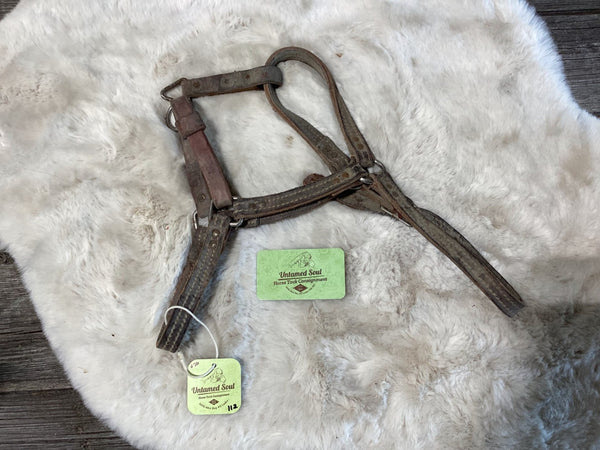 Halter – Leather, Small | Used