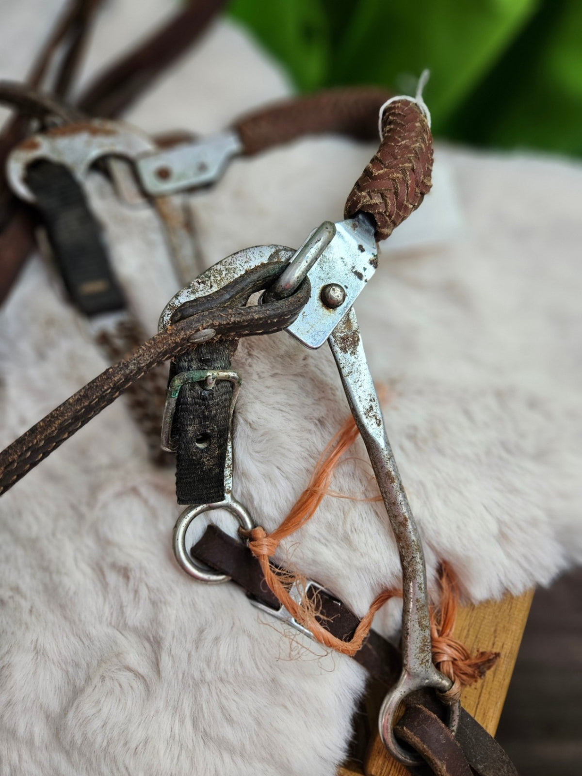Hackamore – Mechanical with Western Headstall & Reins (Needs Oiling) | Used