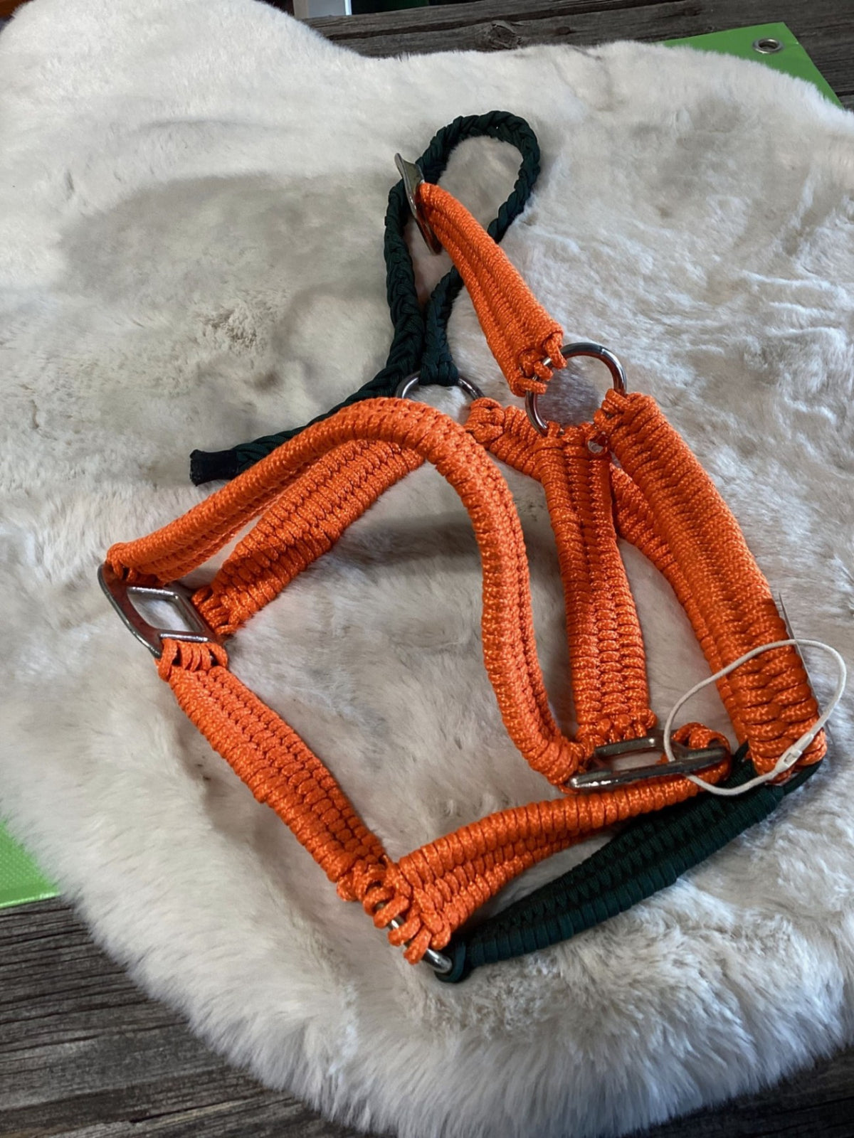 Halter – Nylon, Orange, Horse | Used