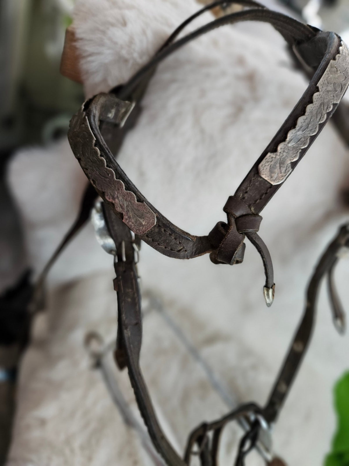 Hackamore – Mechanical with Western Headstall (Needs Oiling) | Used