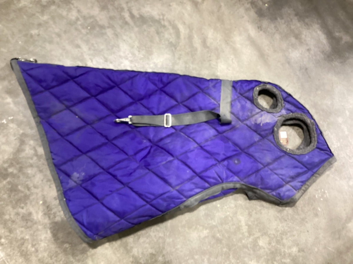 Neck Cover – Winter, Blue, Over Eyes & Ears, Medium (Est.) | Used